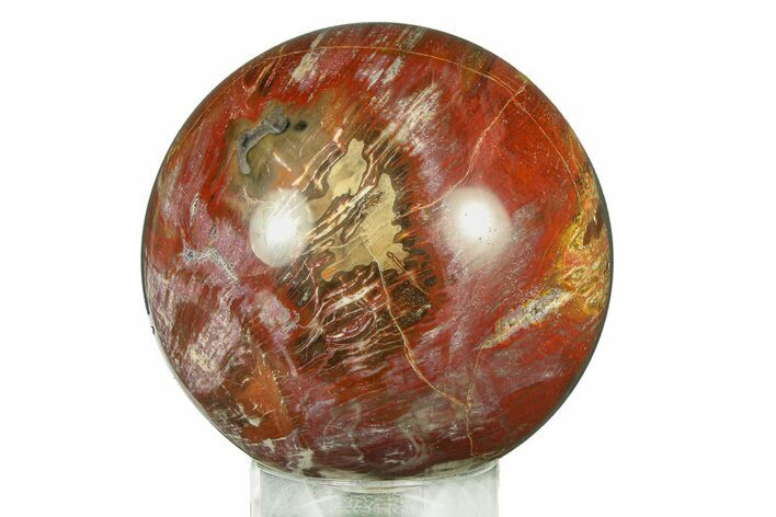 Colorful Petrified Wood (Araucaria) Sphere - Madagascar #286149